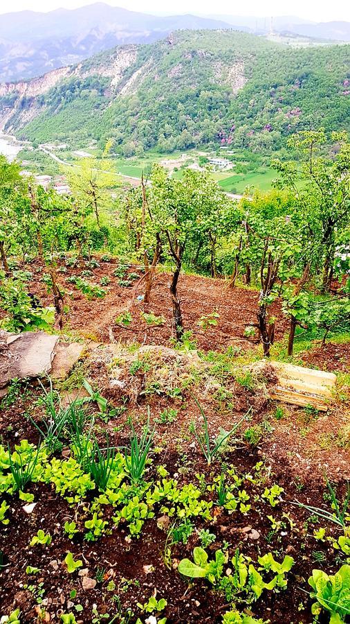 Séjour à la campagne Bujtina Ajti Petran